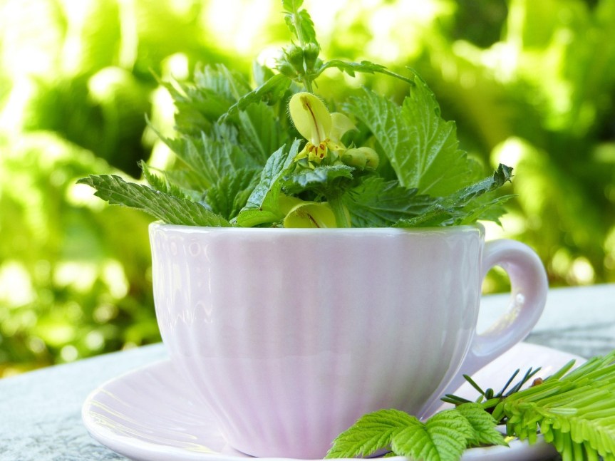 Repte DETOX: Vital i&nbsp;Regulada